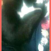 ヒメ日記 2025/04/11 13:11 投稿 てる しゅうかつ倶楽部