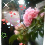 ヒメ日記 2025/04/12 12:57 投稿 てる しゅうかつ倶楽部