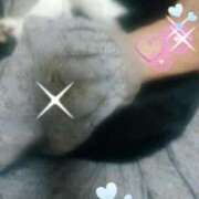 ヒメ日記 2025/04/14 13:08 投稿 てる しゅうかつ倶楽部