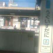 ヒメ日記 2025/04/15 11:26 投稿 てる しゅうかつ倶楽部