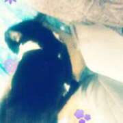 ヒメ日記 2025/04/16 10:35 投稿 てる しゅうかつ倶楽部