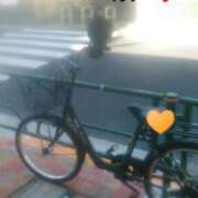 ヒメ日記 2025/04/17 11:08 投稿 てる しゅうかつ倶楽部