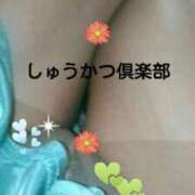 ヒメ日記 2025/04/19 12:47 投稿 てる しゅうかつ倶楽部