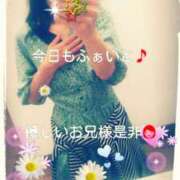 ヒメ日記 2025/04/19 16:34 投稿 てる しゅうかつ倶楽部