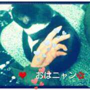 ヒメ日記 2025/04/20 10:10 投稿 てる しゅうかつ倶楽部