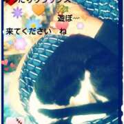 ヒメ日記 2025/04/21 09:36 投稿 てる しゅうかつ倶楽部