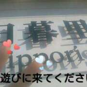 ヒメ日記 2025/04/22 11:51 投稿 てる しゅうかつ倶楽部