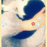 ヒメ日記 2025/04/23 11:26 投稿 てる しゅうかつ倶楽部