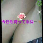 ヒメ日記 2025/04/24 12:17 投稿 てる しゅうかつ倶楽部