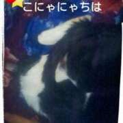 ヒメ日記 2025/05/01 12:32 投稿 てる しゅうかつ倶楽部