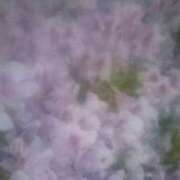 ヒメ日記 2025/05/01 21:41 投稿 てる しゅうかつ倶楽部