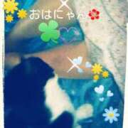 ヒメ日記 2025/05/07 11:31 投稿 てる しゅうかつ倶楽部