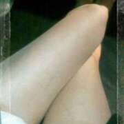 ヒメ日記 2025/05/08 18:29 投稿 てる しゅうかつ倶楽部