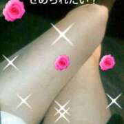 ヒメ日記 2025/05/11 10:48 投稿 てる しゅうかつ倶楽部