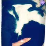 ヒメ日記 2025/05/13 22:20 投稿 てる しゅうかつ倶楽部