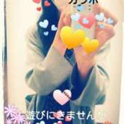 ヒメ日記 2025/05/14 13:28 投稿 てる しゅうかつ倶楽部