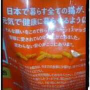 ヒメ日記 2025/05/15 17:37 投稿 てる しゅうかつ倶楽部