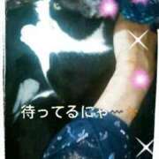 ヒメ日記 2025/05/17 12:52 投稿 てる しゅうかつ倶楽部