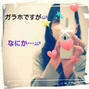 ヒメ日記 2025/05/18 12:53 投稿 てる しゅうかつ倶楽部