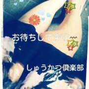 ヒメ日記 2025/05/19 12:43 投稿 てる しゅうかつ倶楽部