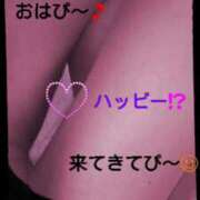 ヒメ日記 2025/05/26 10:24 投稿 てる しゅうかつ倶楽部