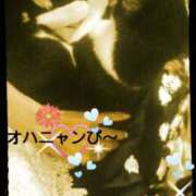 ヒメ日記 2025/05/28 11:19 投稿 てる しゅうかつ倶楽部