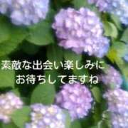 ヒメ日記 2025/05/30 09:21 投稿 てる しゅうかつ倶楽部