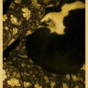 ヒメ日記 2025/06/11 10:55 投稿 てる しゅうかつ倶楽部