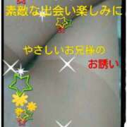 ヒメ日記 2025/06/14 12:21 投稿 てる しゅうかつ倶楽部