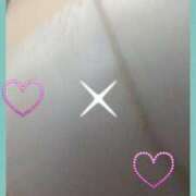 ヒメ日記 2025/06/17 10:06 投稿 てる しゅうかつ倶楽部