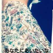 ヒメ日記 2025/06/24 12:26 投稿 てる しゅうかつ倶楽部