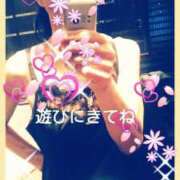 ヒメ日記 2025/06/25 12:08 投稿 てる しゅうかつ倶楽部