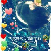 ヒメ日記 2025/06/26 12:52 投稿 てる しゅうかつ倶楽部