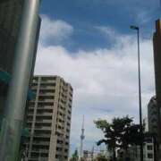 ヒメ日記 2025/06/29 21:50 投稿 てる しゅうかつ倶楽部