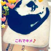 ヒメ日記 2025/07/01 21:34 投稿 てる しゅうかつ倶楽部