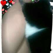 ヒメ日記 2025/07/04 09:17 投稿 てる しゅうかつ倶楽部