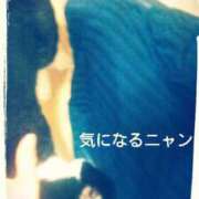 ヒメ日記 2025/07/05 09:26 投稿 てる しゅうかつ倶楽部