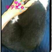 ヒメ日記 2025/07/13 12:33 投稿 てる しゅうかつ倶楽部