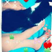 ヒメ日記 2025/07/14 10:45 投稿 てる しゅうかつ倶楽部