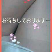 ヒメ日記 2025/07/15 12:36 投稿 てる しゅうかつ倶楽部