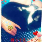 ヒメ日記 2025/07/20 09:10 投稿 てる しゅうかつ倶楽部