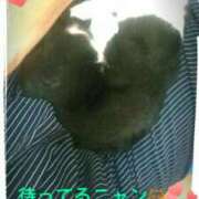 ヒメ日記 2025/07/21 12:17 投稿 てる しゅうかつ倶楽部