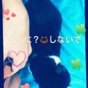 ヒメ日記 2025/07/25 12:34 投稿 てる しゅうかつ倶楽部