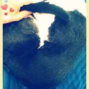 ヒメ日記 2025/07/27 15:08 投稿 てる しゅうかつ倶楽部