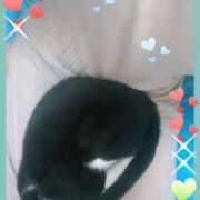 ヒメ日記 2025/07/28 10:02 投稿 てる しゅうかつ倶楽部