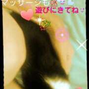 ヒメ日記 2025/07/31 09:11 投稿 てる しゅうかつ倶楽部