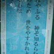 ヒメ日記 2025/08/06 11:03 投稿 てる しゅうかつ倶楽部