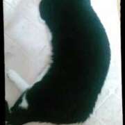 ヒメ日記 2025/08/09 15:01 投稿 てる しゅうかつ倶楽部