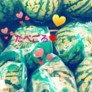 ヒメ日記 2025/08/12 21:35 投稿 てる しゅうかつ倶楽部