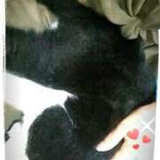 ヒメ日記 2025/08/20 10:45 投稿 てる しゅうかつ倶楽部